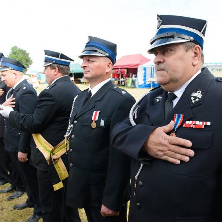 Wyświetl org. rozmiar