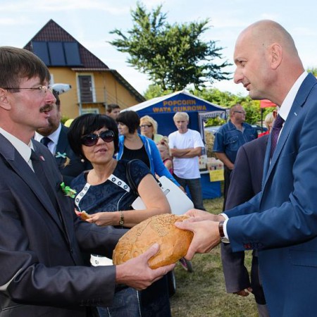 Wyświetl org. rozmiar