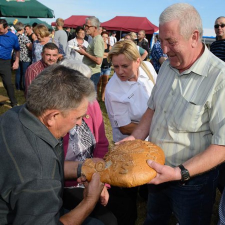 Wyświetl org. rozmiar