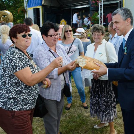 Wyświetl org. rozmiar