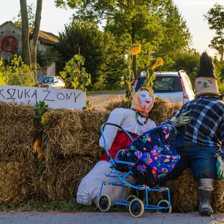 Wyświetl org. rozmiar