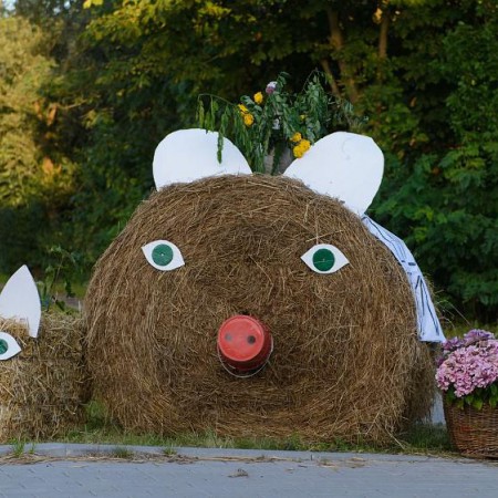 Wyświetl org. rozmiar