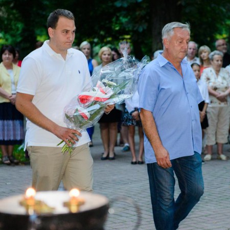 Wyświetl org. rozmiar