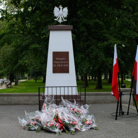 Wyświetl org. rozmiar