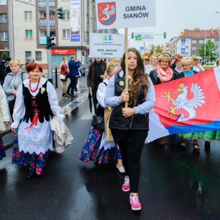 Wyświetl org. rozmiar