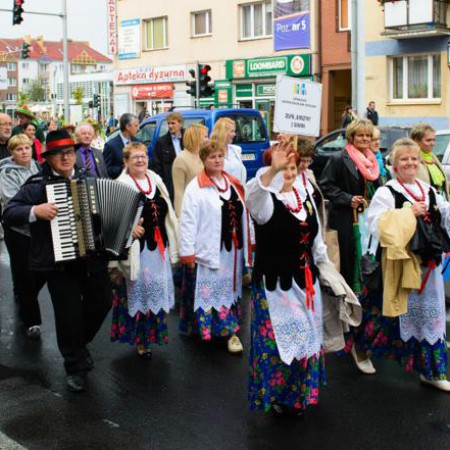Wyświetl org. rozmiar