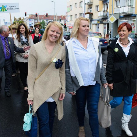 Wyświetl org. rozmiar