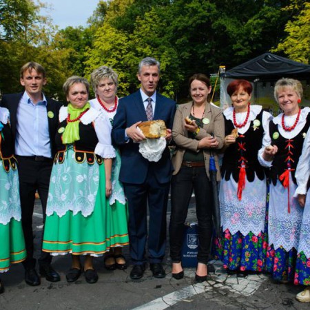 Wyświetl org. rozmiar