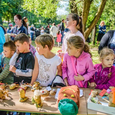 Wyświetl org. rozmiar