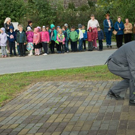 Wyświetl org. rozmiar