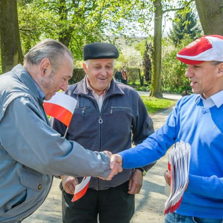 Wyświetl org. rozmiar