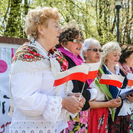 Wyświetl org. rozmiar