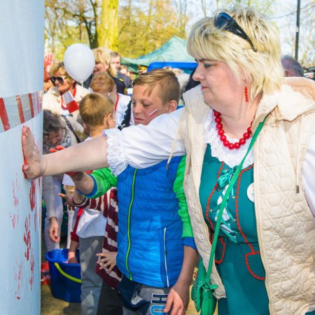 Wyświetl org. rozmiar