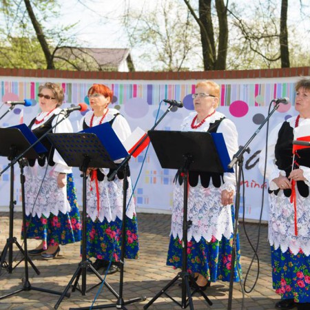 Wyświetl org. rozmiar