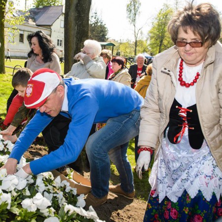 Wyświetl org. rozmiar