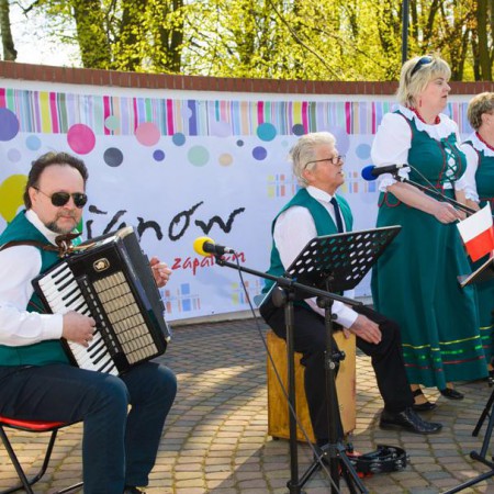 Wyświetl org. rozmiar