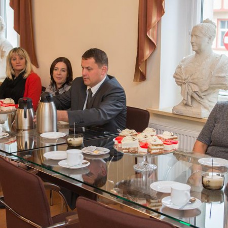Wyświetl org. rozmiar