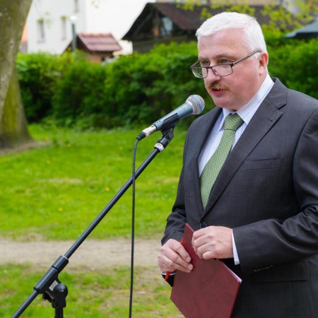 Wyświetl org. rozmiar