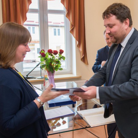 Wyświetl org. rozmiar