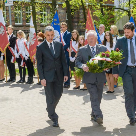 Wyświetl org. rozmiar