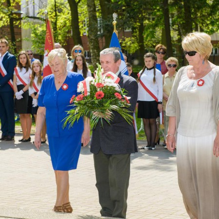 Wyświetl org. rozmiar