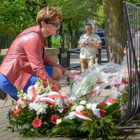 Wyświetl org. rozmiar