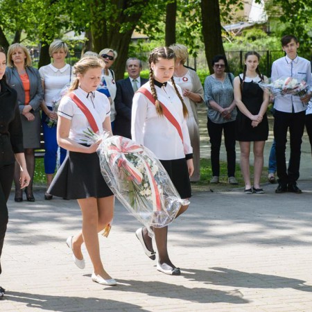 Wyświetl org. rozmiar