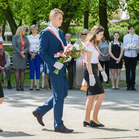 Wyświetl org. rozmiar