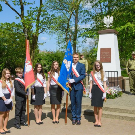 Wyświetl org. rozmiar