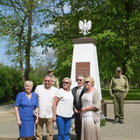 Wyświetl org. rozmiar