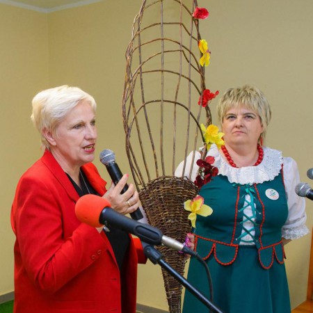 Wyświetl org. rozmiar