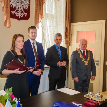 Wyświetl org. rozmiar