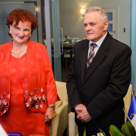 Wyświetl org. rozmiar