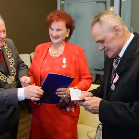 Wyświetl org. rozmiar