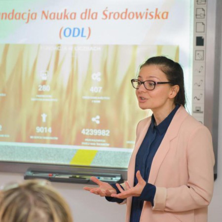 Wyświetl org. rozmiar