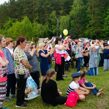 Wyświetl org. rozmiar