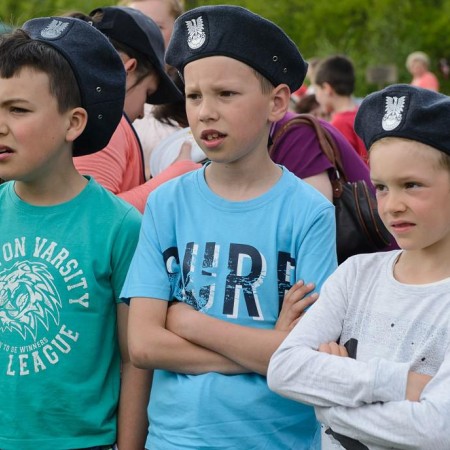 Wyświetl org. rozmiar