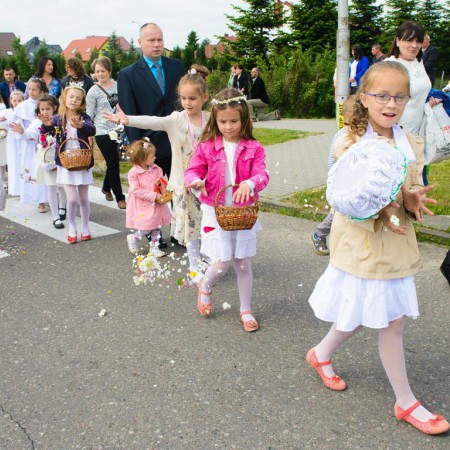 Wyświetl org. rozmiar
