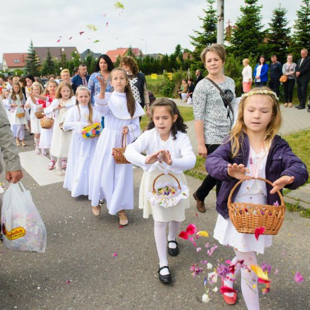 Wyświetl org. rozmiar