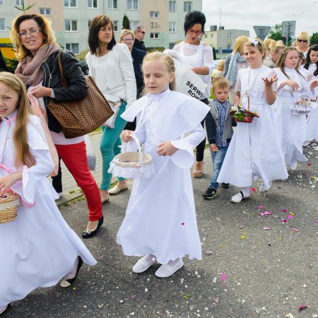 Wyświetl org. rozmiar