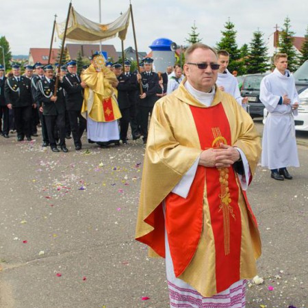 Wyświetl org. rozmiar