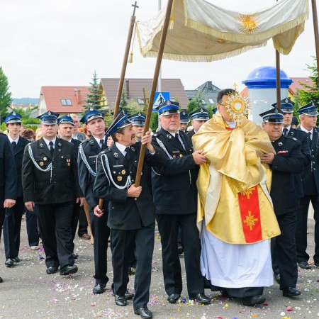 Wyświetl org. rozmiar