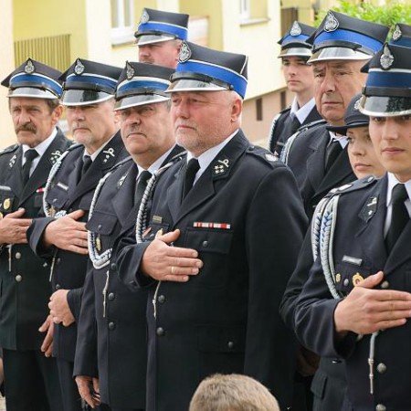 Wyświetl org. rozmiar