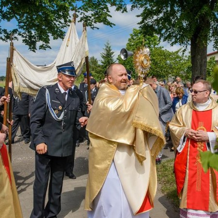 Wyświetl org. rozmiar