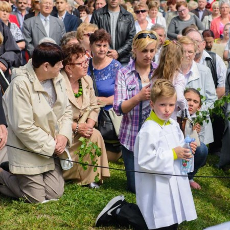 Wyświetl org. rozmiar