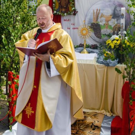 Wyświetl org. rozmiar