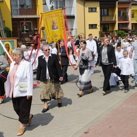 Wyświetl org. rozmiar