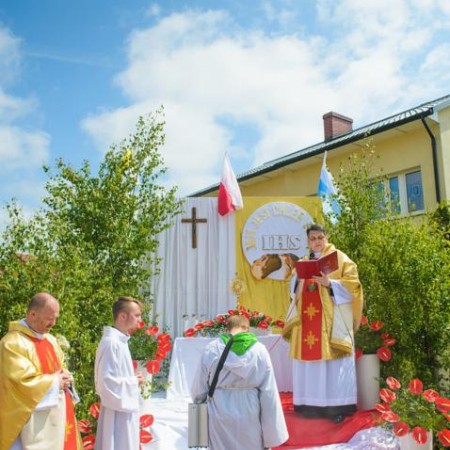 Wyświetl org. rozmiar