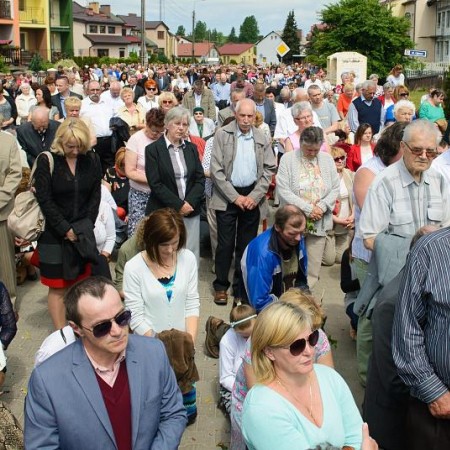Wyświetl org. rozmiar