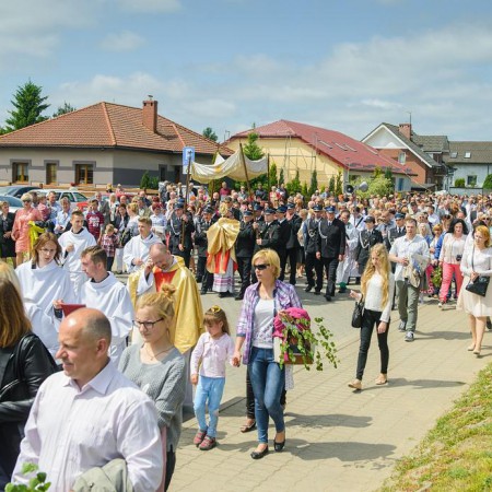 Wyświetl org. rozmiar